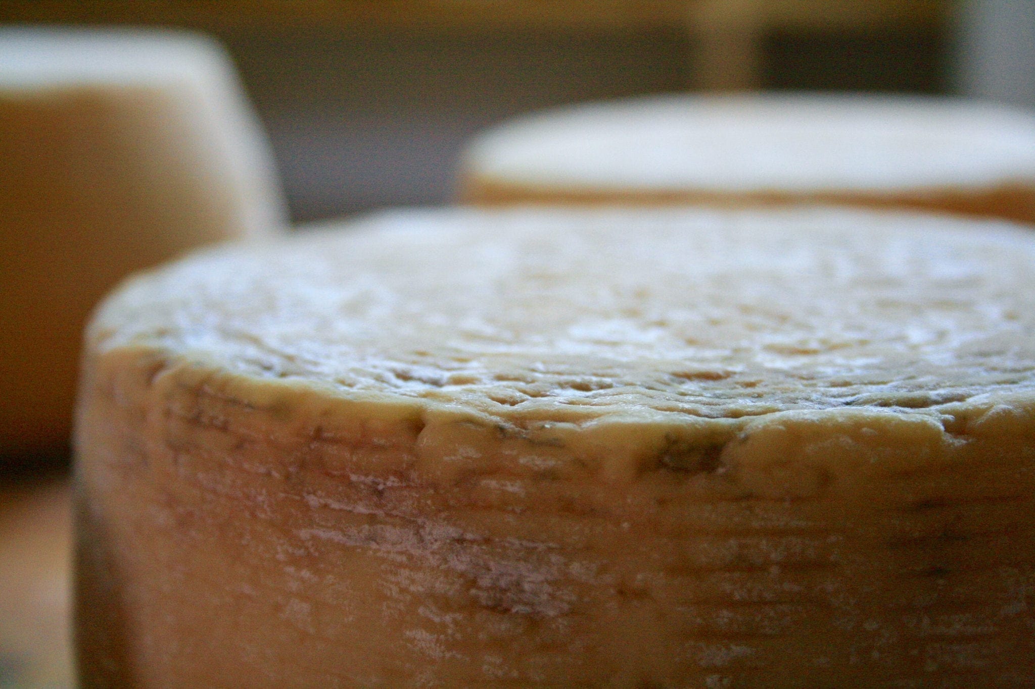 Italy’s 24 Most Beloved Cheeses, From North To South - Gambero Rosso ...