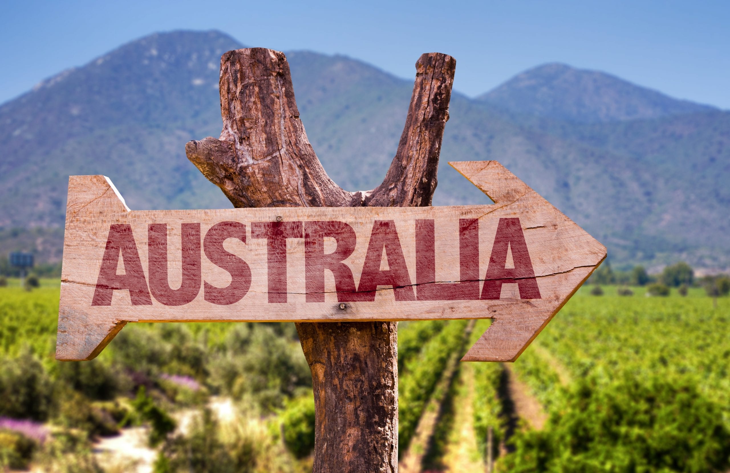 China: Zero Duty For Aussie Wines. Australia Now Accelerates - Gambero ...