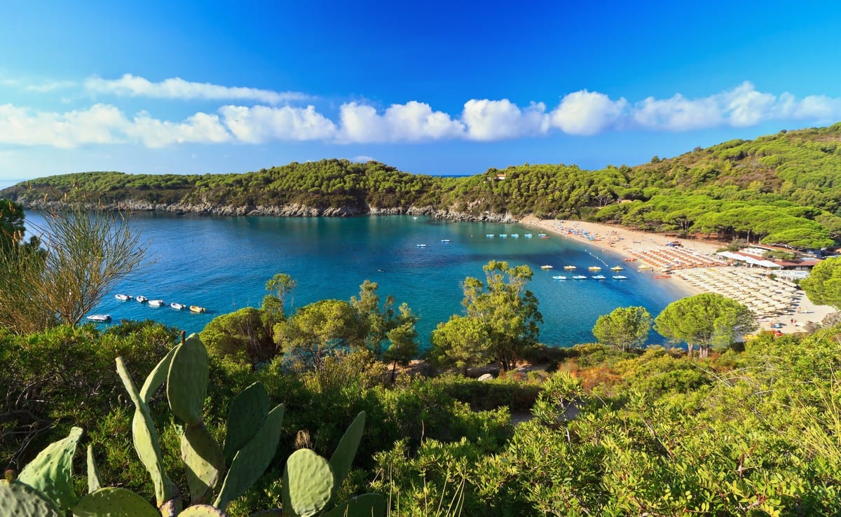 Elba island and its wine - Gambero Rosso International