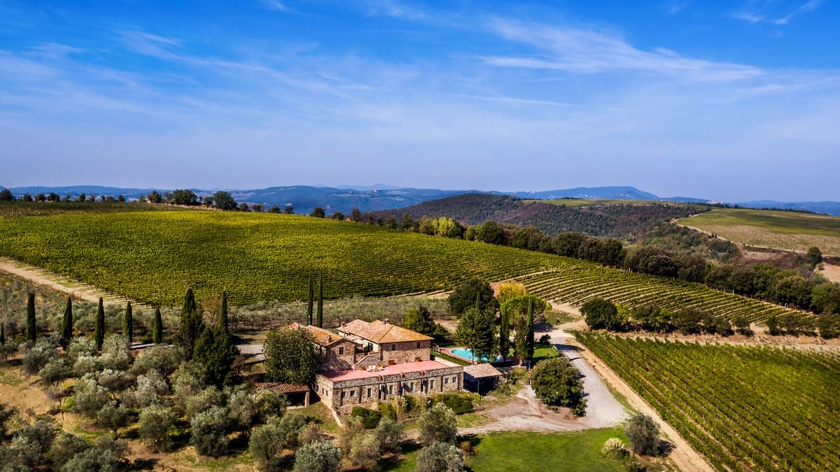 The history of Folonari, a Tuscan winery - Gambero Rosso International