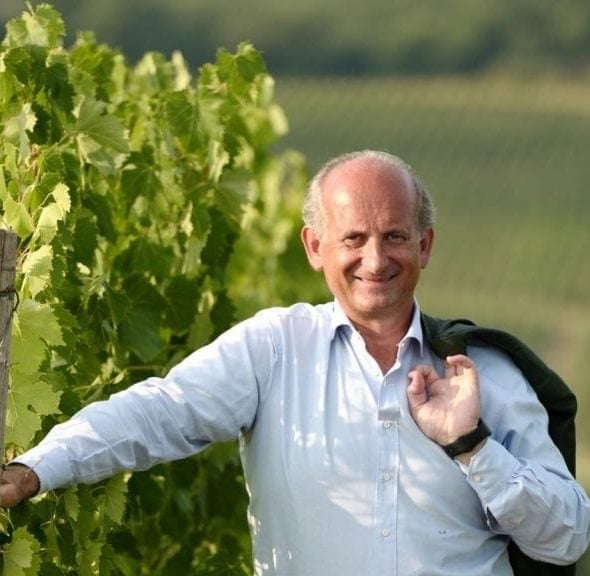  "Reduce yields per hectare instead of asking for money to uproot." Frescobaldi criticizes the protection Consortia