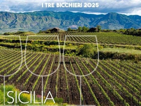 Tre Bicchieri 2025: the best Sicilian wines awarded by Gambero Rosso