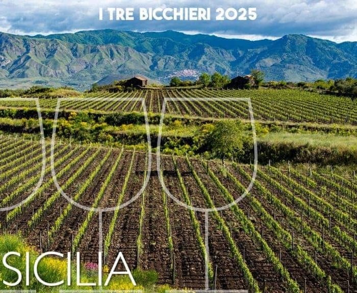 Tre Bicchieri 2025: the best Sicilian wines awarded by Gambero Rosso