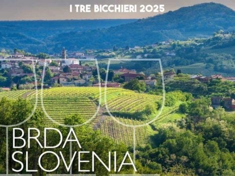 Tre Bicchieri 2025:the 4 best wines from Brda in Slovenia awarded by Gambero Rosso