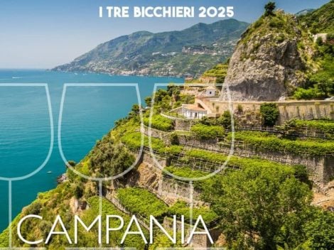 Tre Bicchieri 2025: the 21 best wines from Campania awarded by Gambero Rosso