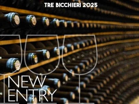 Historic, artisanal, and family-run wineries. Here are the 52 awarded the Tre Bicchieri for the first time