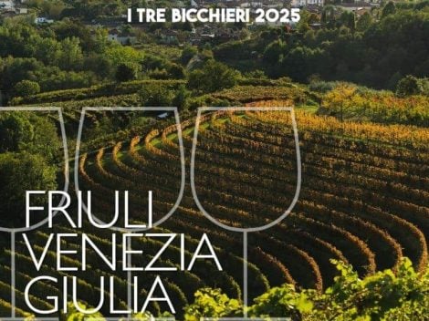 Tre Bicchieri 2025: the 25 best wines from Friuli Venezia Giulia awarded by Gambero Rosso