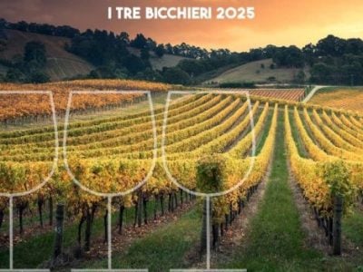 The best Italian wines of 2025 chosen by Gambero Rosso