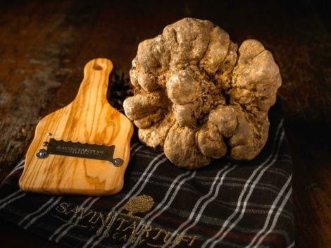 How and where to buy white truffle from Alba at a fair price: tips from an expert