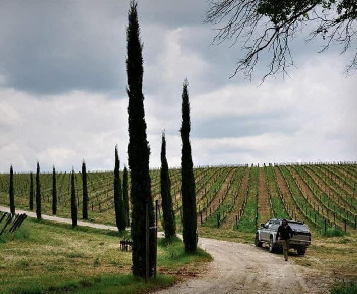 If you say Syrah, you say Cortona. The story of Stefano Amerighi and other Tuscan producers