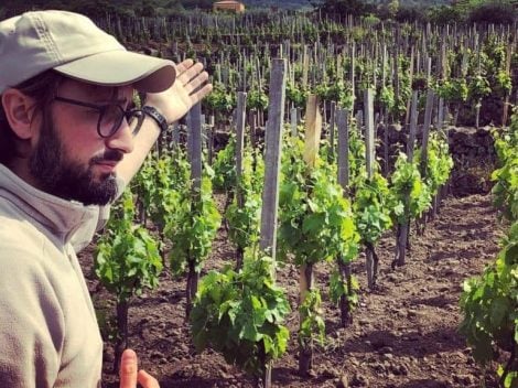 Sicily experiments with heirloom grapes. Oenologist Angelo Di Grazia: "They are the future, and I’ll explain why"