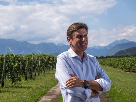 "We are working on a Pinot Grigio DOC from resistant grape varieties. We will be the first in Italy." The bold move of the Consorzio delle Venezie