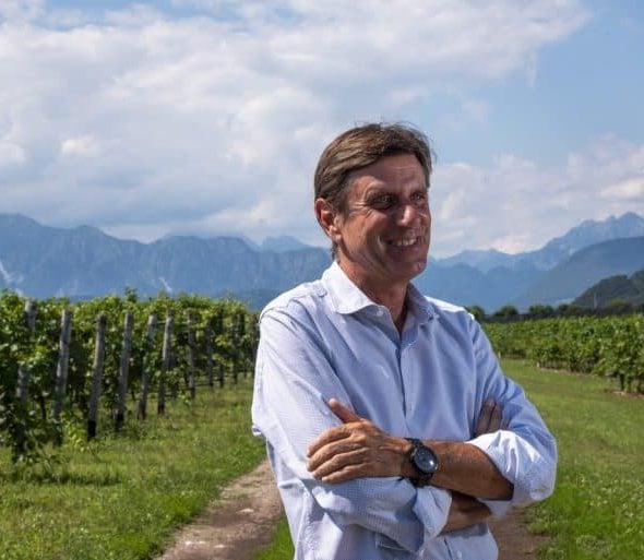 "We are working on a Pinot Grigio DOC from resistant grape varieties. We will be the first in Italy." The bold move of the Consorzio delle Venezie