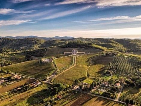 Terra Moretti launches a €15 million sustainable bond. New investments in wineries and hospitality